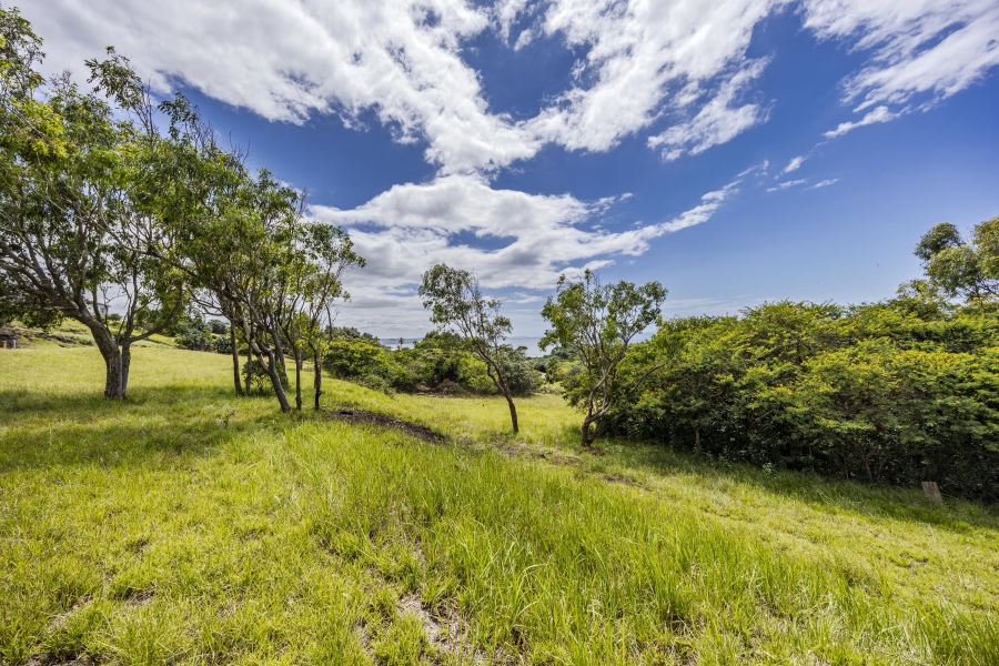 0 Bedroom Property for Sale in Cintsa West Eastern Cape